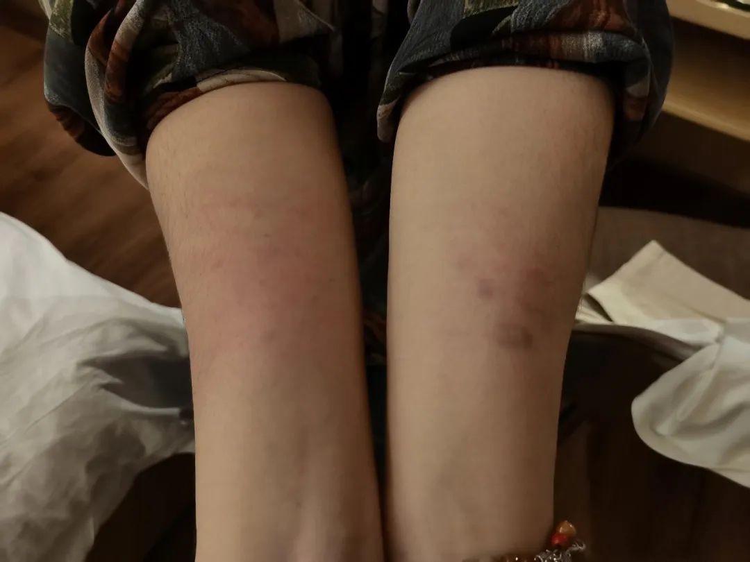 归来景德镇,重新来过景德镇