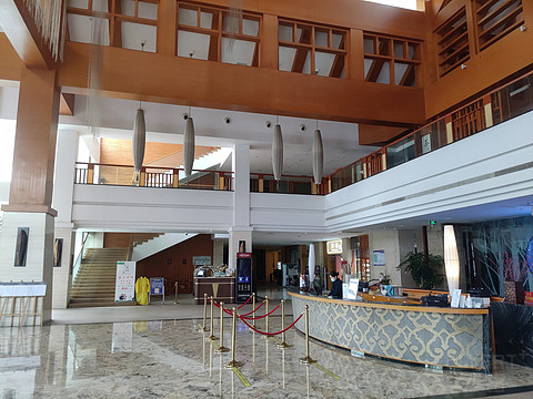 飞雪迎春山花烂漫,飞雪迎春绽玉蕊