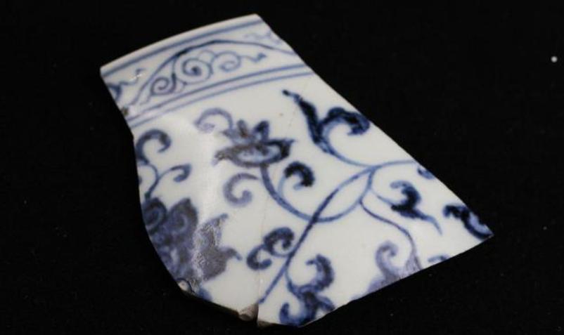 王刚失手砸碎2亿真古董是哪期,天下收藏王刚砸杯子视频