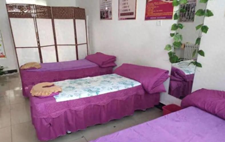 骗走50亿！最终被央视揭露的“捞金女王”惨败