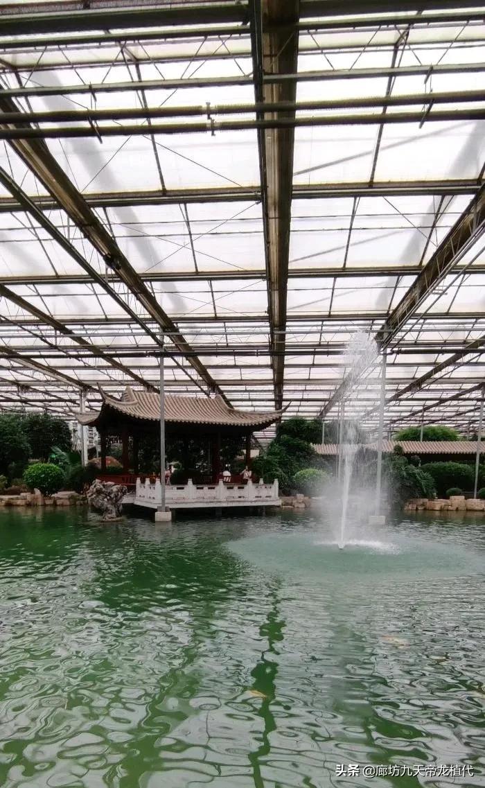 九天休闲谷花鸟鱼虫,九天休闲谷门票是多少钱