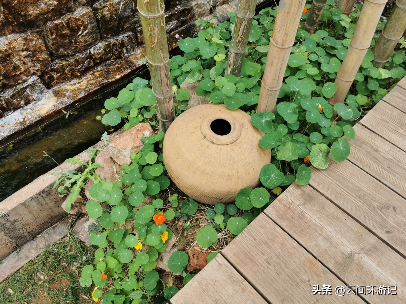 玉溪澄江抚仙湖游玩攻略,玉溪澄江抚仙湖推荐吗