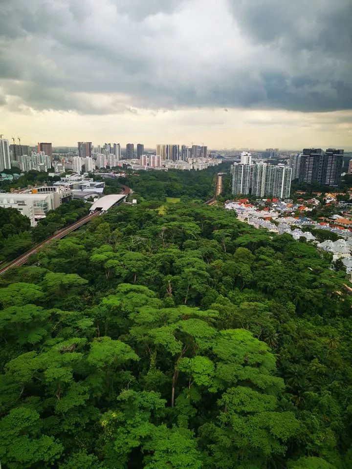 新加坡公寓比组屋好在哪里,新加坡公寓的学区比组屋好么