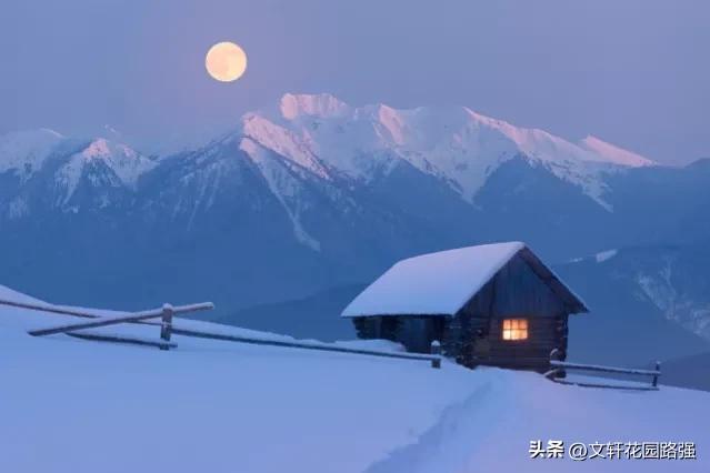 立冬诗词赏析大全,立冬诗词全集100首