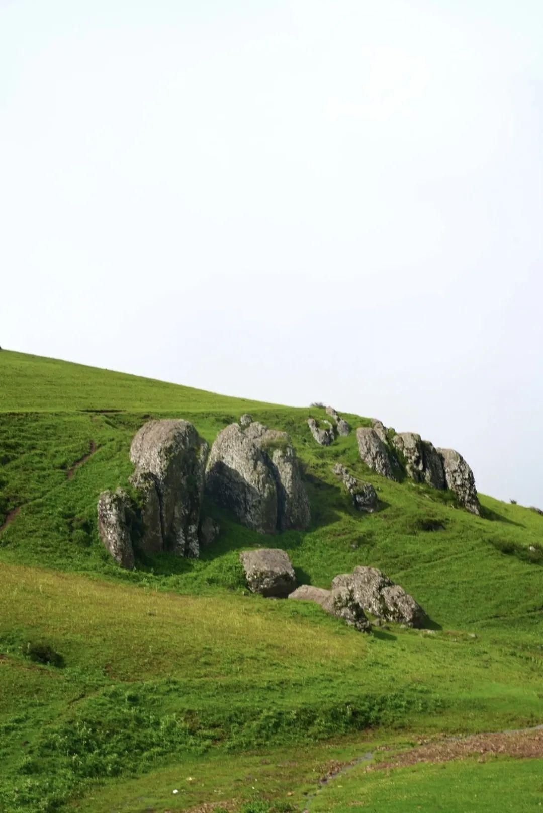 昭通大山包一览众山,昭通市昭阳区大山包乡