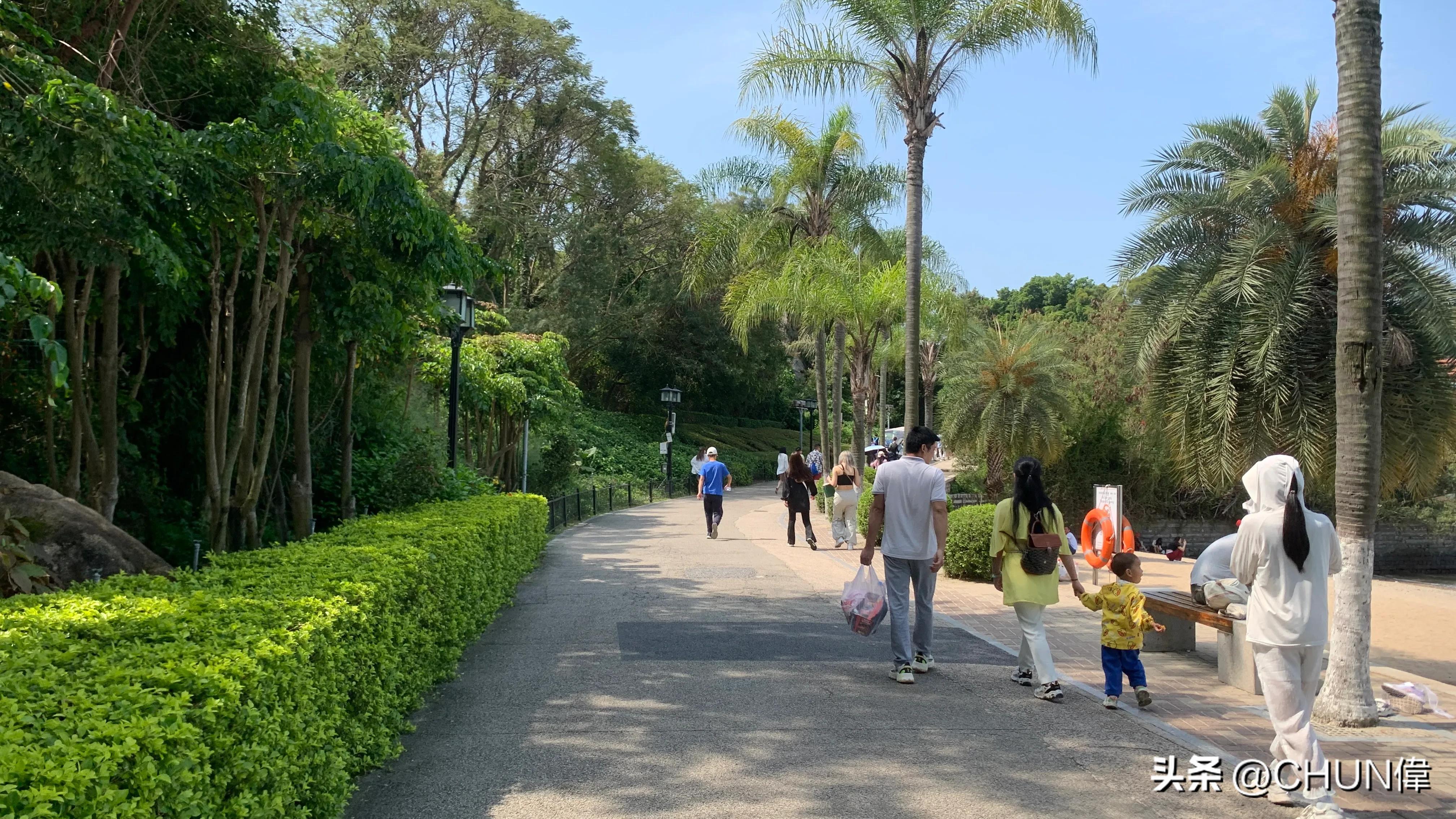 自由行厦门鼓浪屿四天怎么安排,鼓浪屿一日游五一