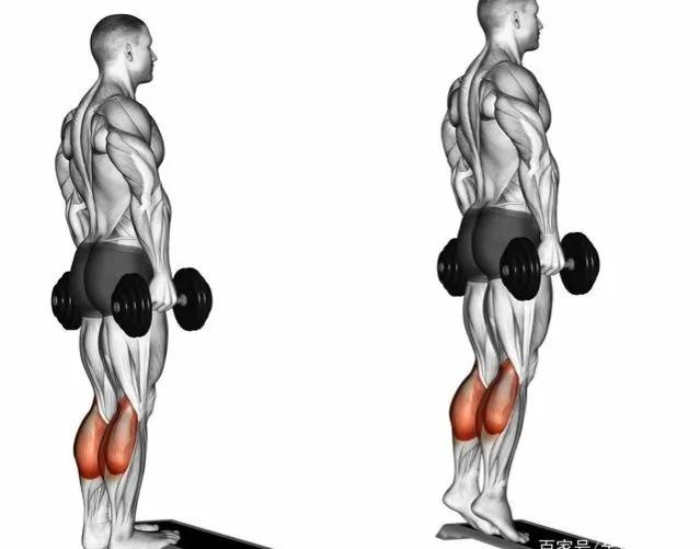 教你用一对哑铃,在家就能瘦全身