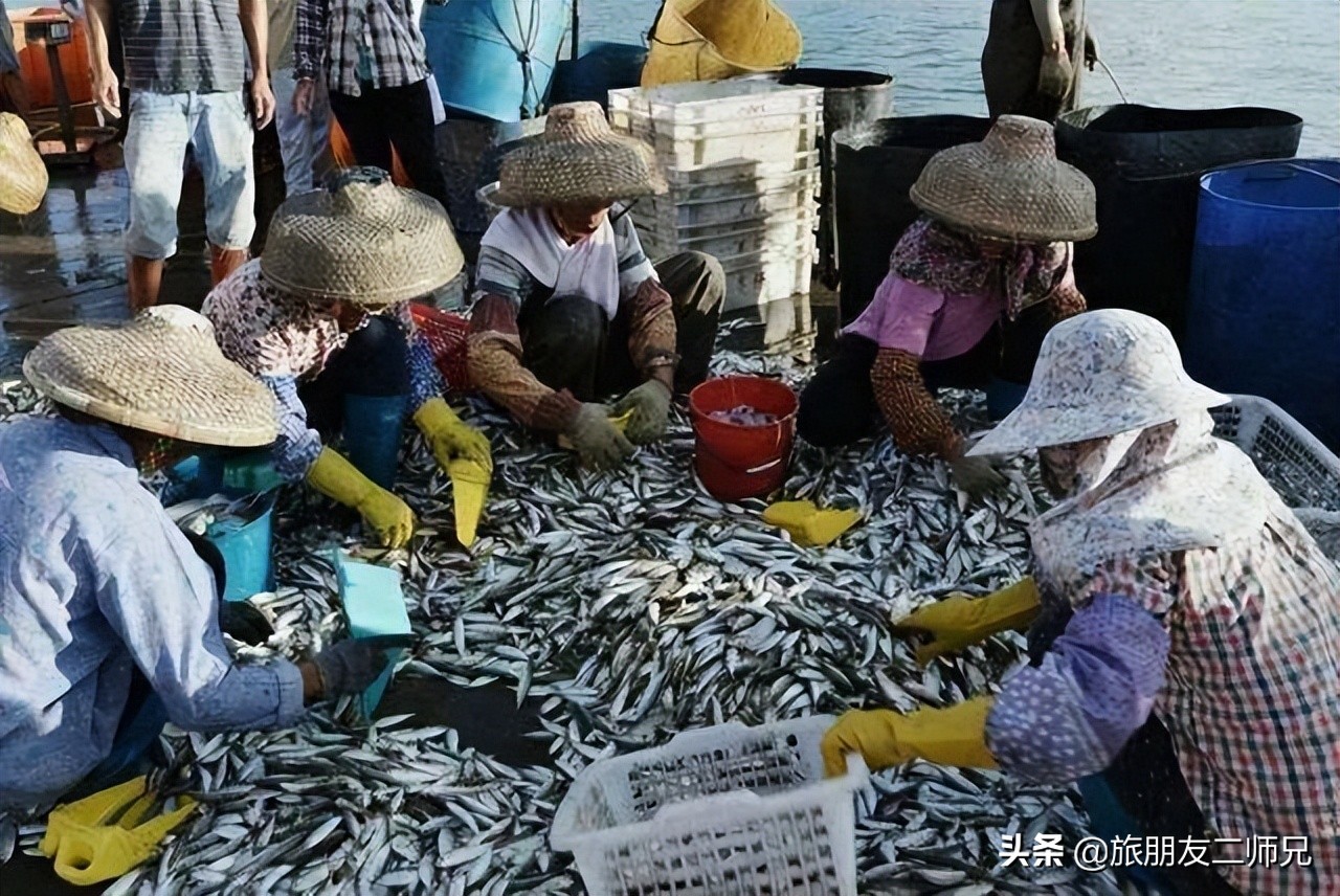 台山下川岛三日游旅游攻略自驾游,广州台山旅游攻略一日游最佳路线