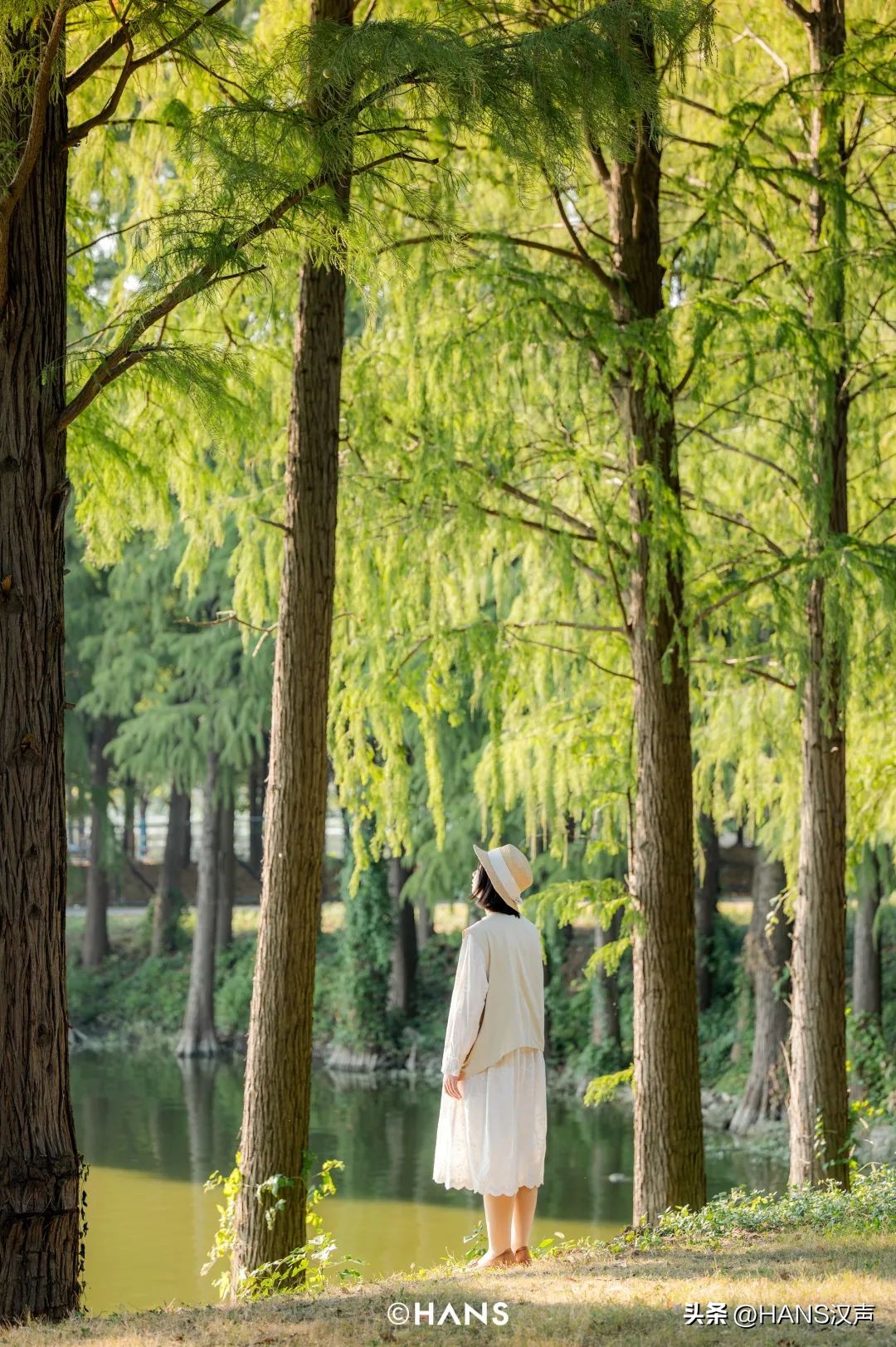 过隐！种花养鱼武汉人