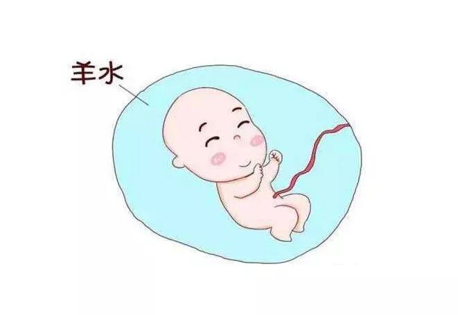 孕期知识什么是羊水栓塞,孕期破水的科普