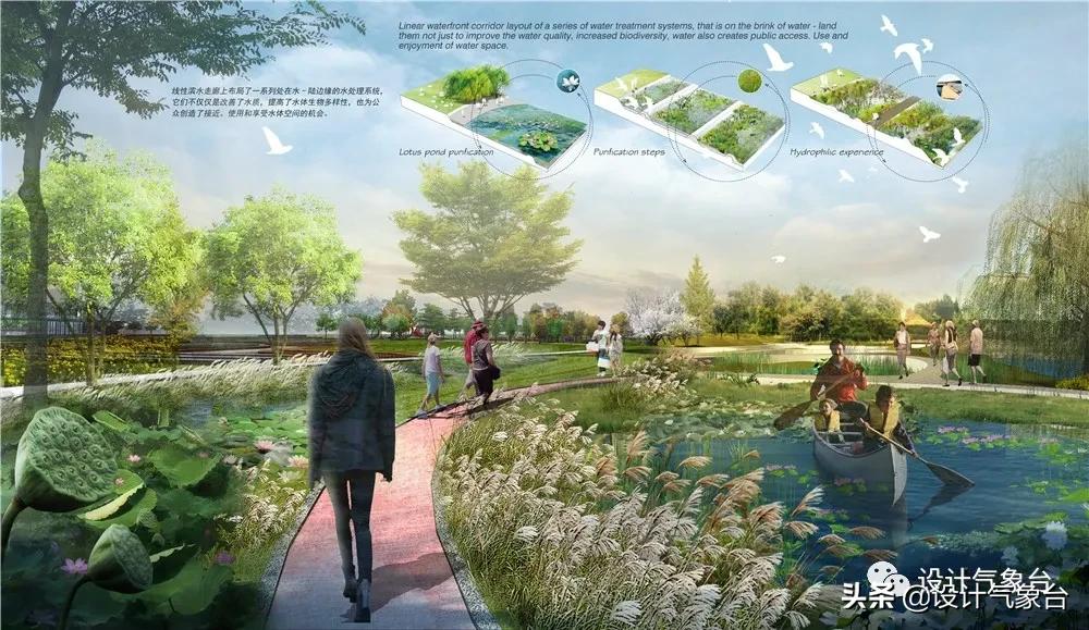 湿地景观效果图,big惜败完整视频