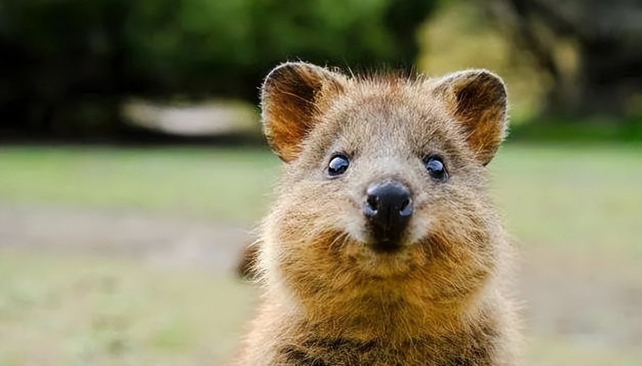 移民新手入门视频,移民小知识欧盟