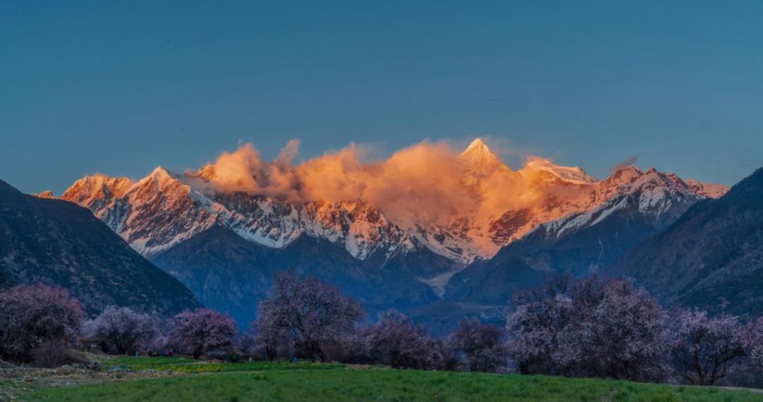 林芝花期预测,林芝桃花最佳观赏时间气温