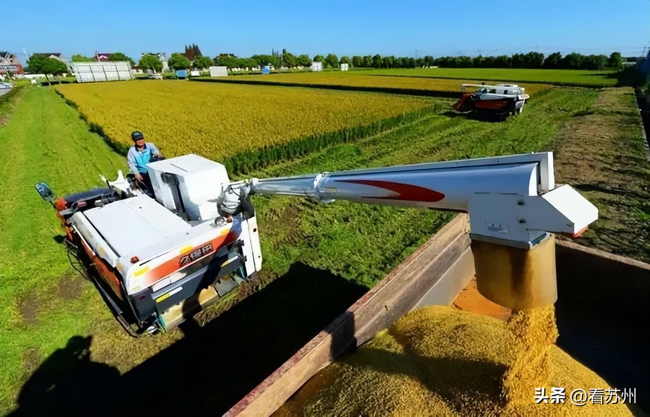 多措并举全力保障秋粮收获,为秋粮颗粒归仓保驾护航