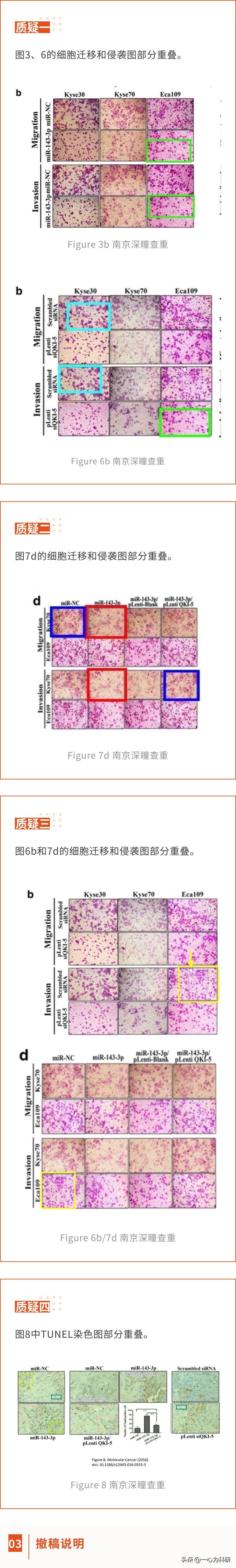 sci论文被拒重投,南京医科大学附属医学院论文撤稿