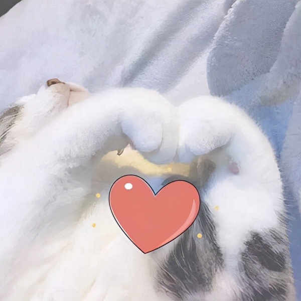 淘宝店铺严重违规权重怎么处理,淘宝如何查权重被降