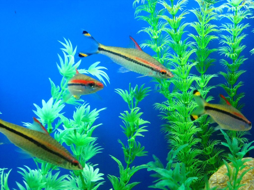 上海十大水上乐园排名,上海玛雅水上乐园