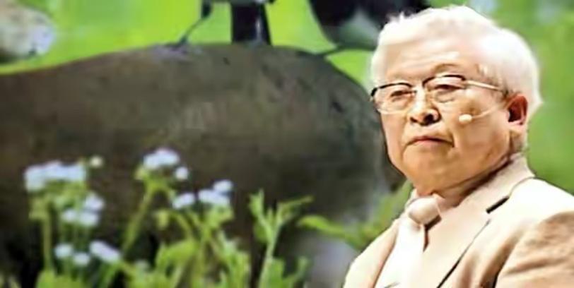 韩国世越号沉船总统发言,韩国船世越号幸存