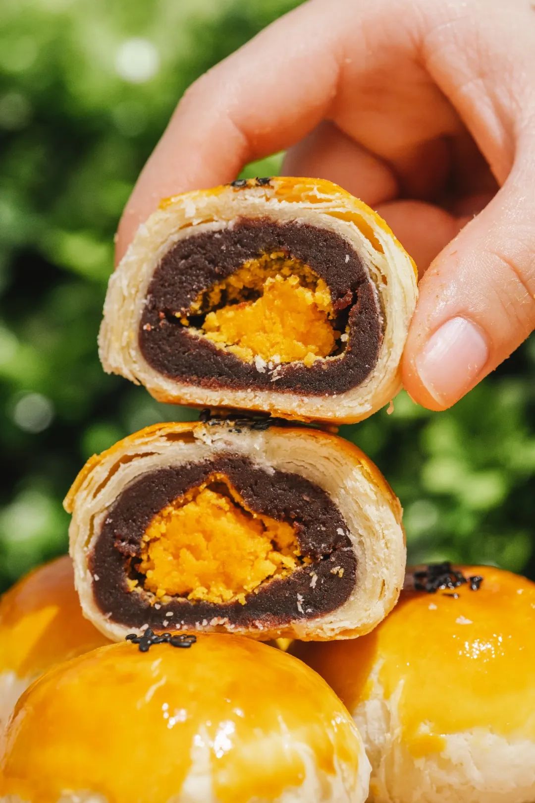 佛山泸溪河,火遍江浙沪泸溪河