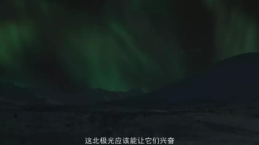 最美的电影瞬间,最美的电影片段