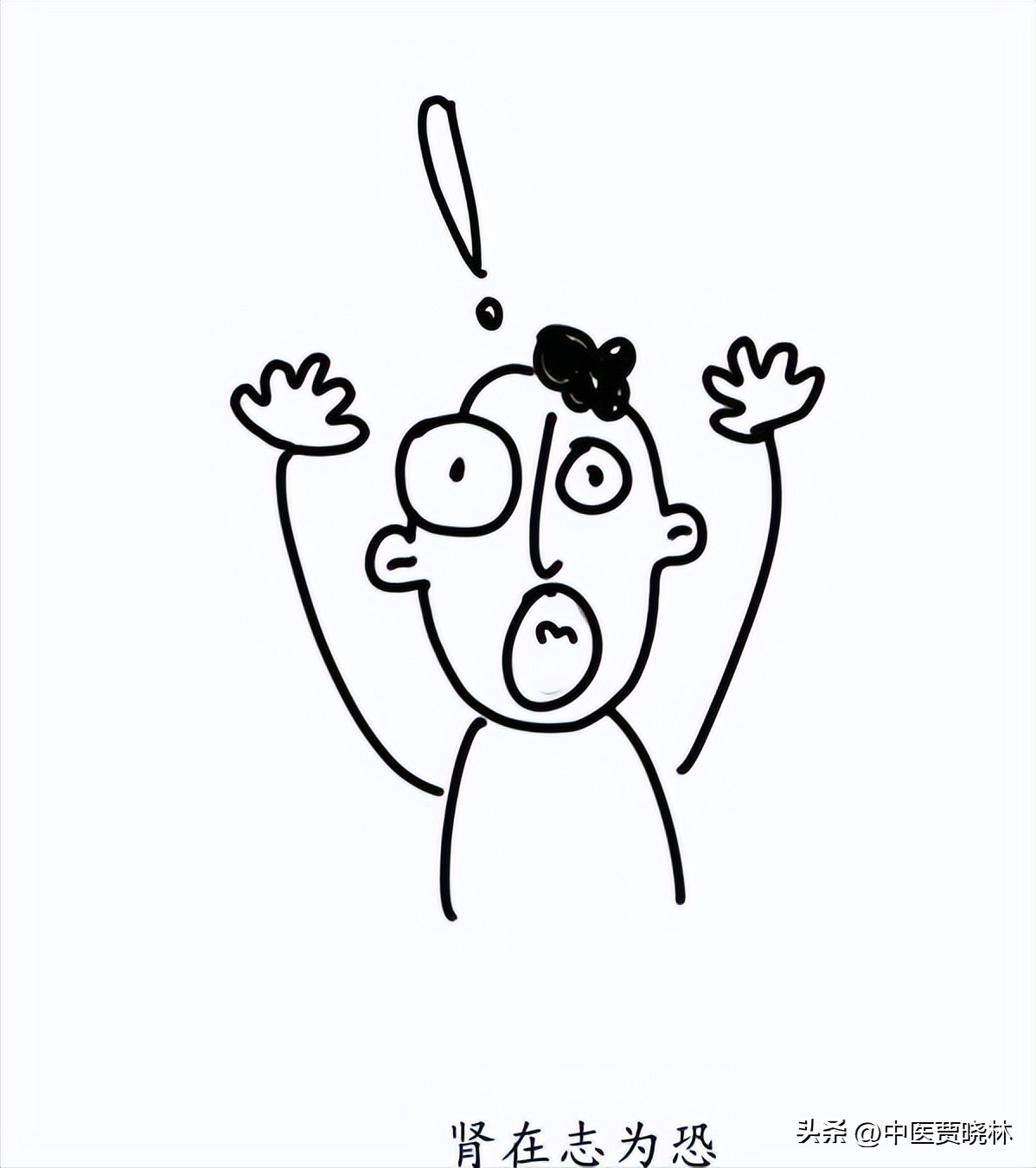 养肾等于养命最全养肾食物大全,养肾护肾的十个方法