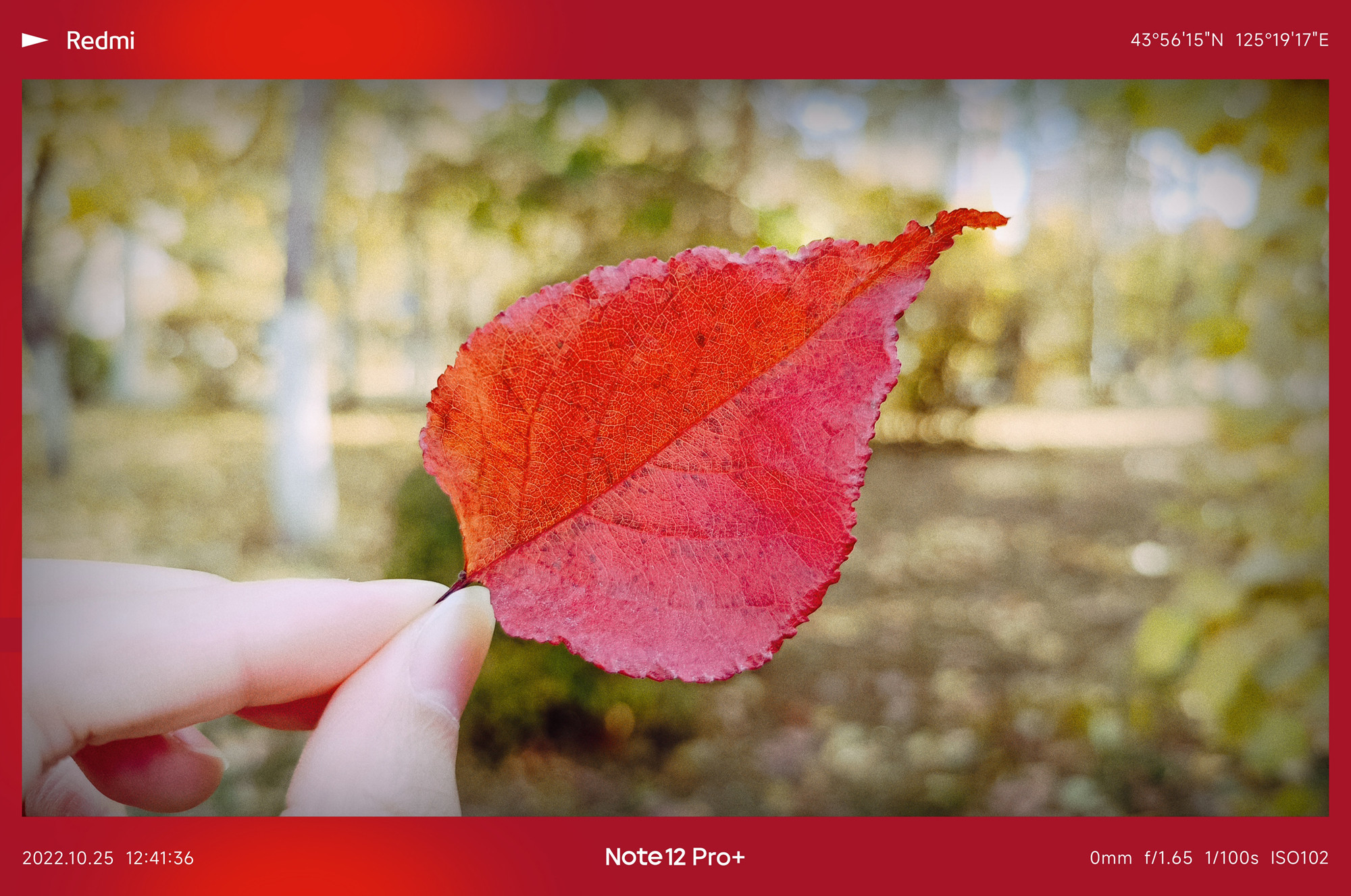 红米redminote12Tpro值得买吗,红米RedmiNote12Pro评测