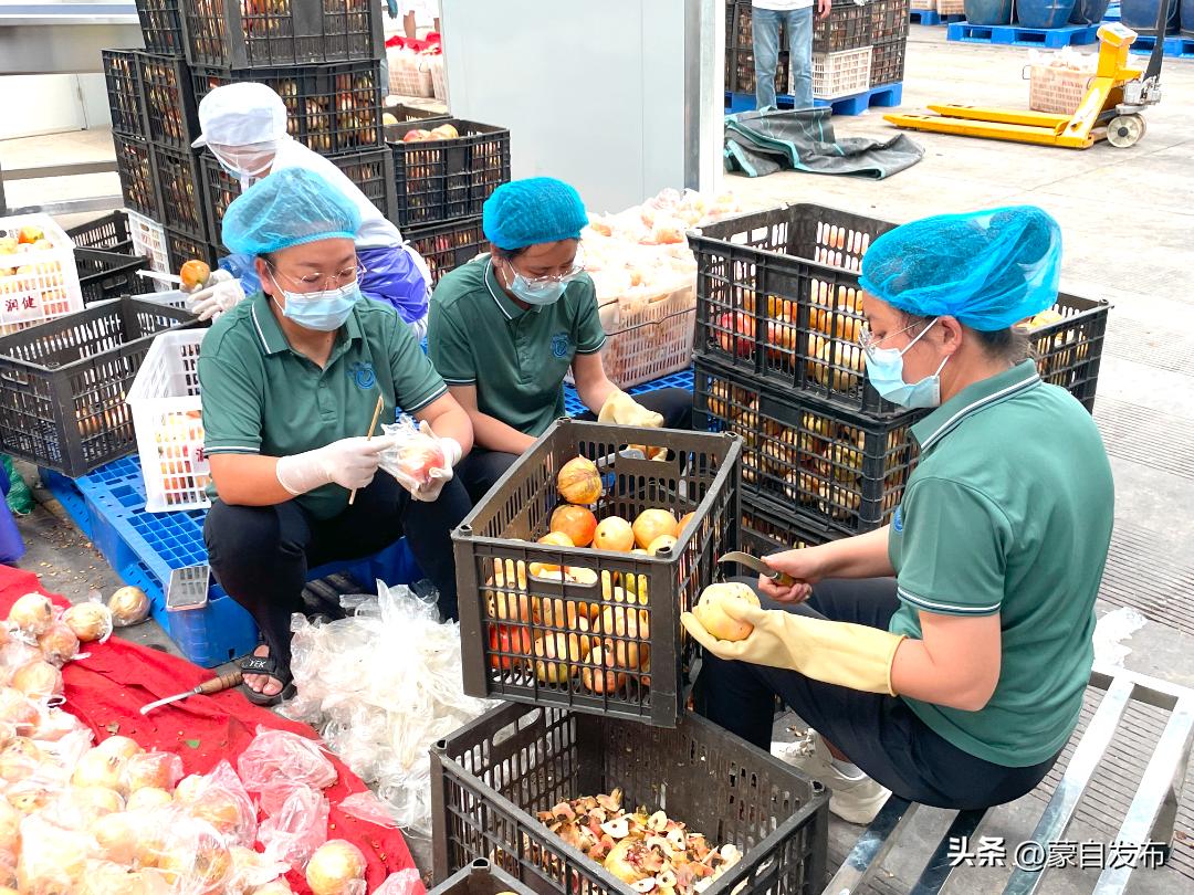 蒙自绿籽石榴好吃吗,蒙自石榴好吃还是突尼斯软籽好吃