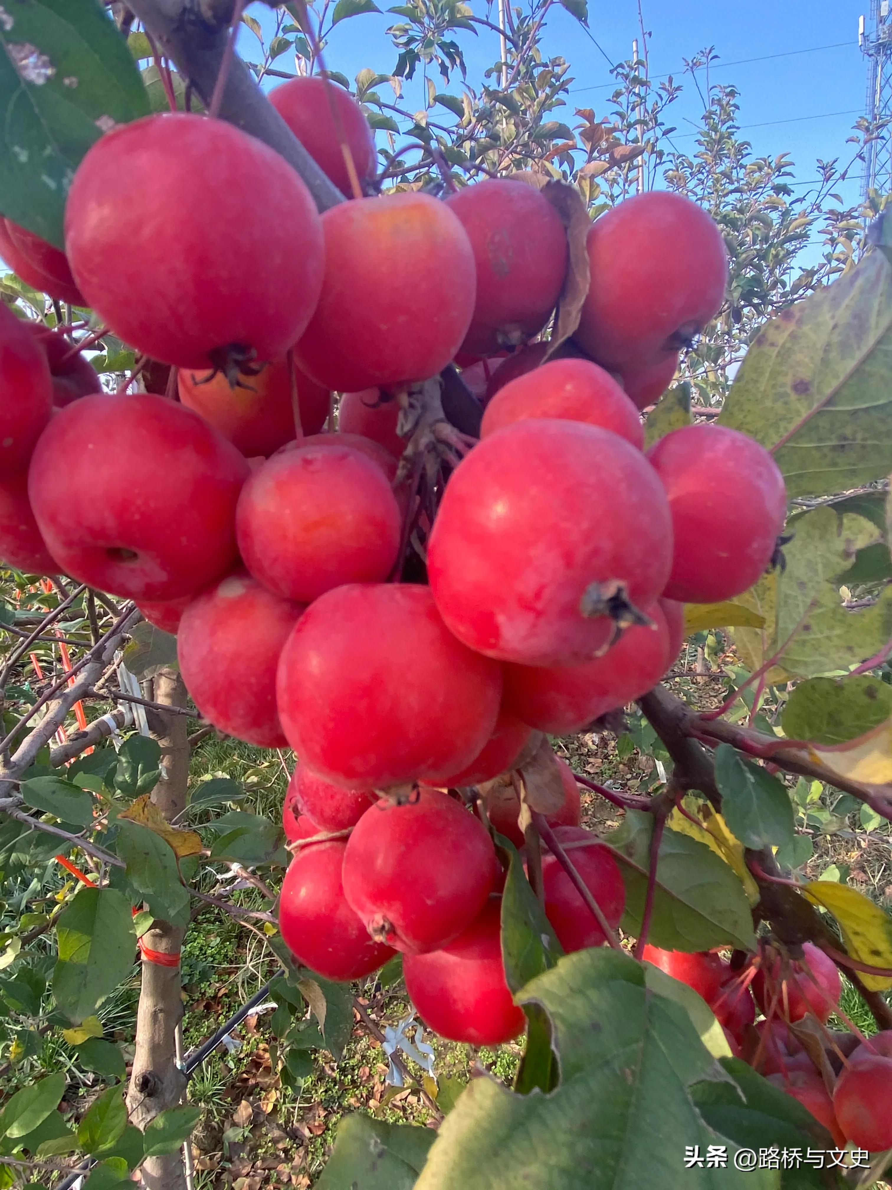 二级建造师工程竣工资料移交,工程竣工后多久移交竣工资料