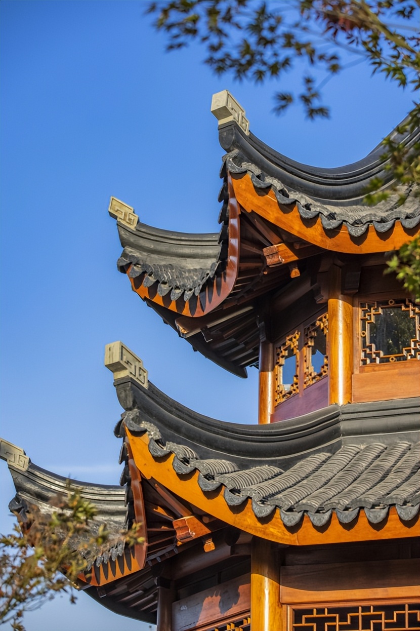 醉美星河湾全景,醉美园林星河湾