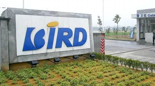 波导手机图片,波导v10手机