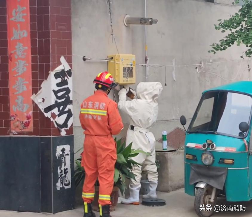 小区遇到“蜂”“蛇”别慌：绕开走，打119