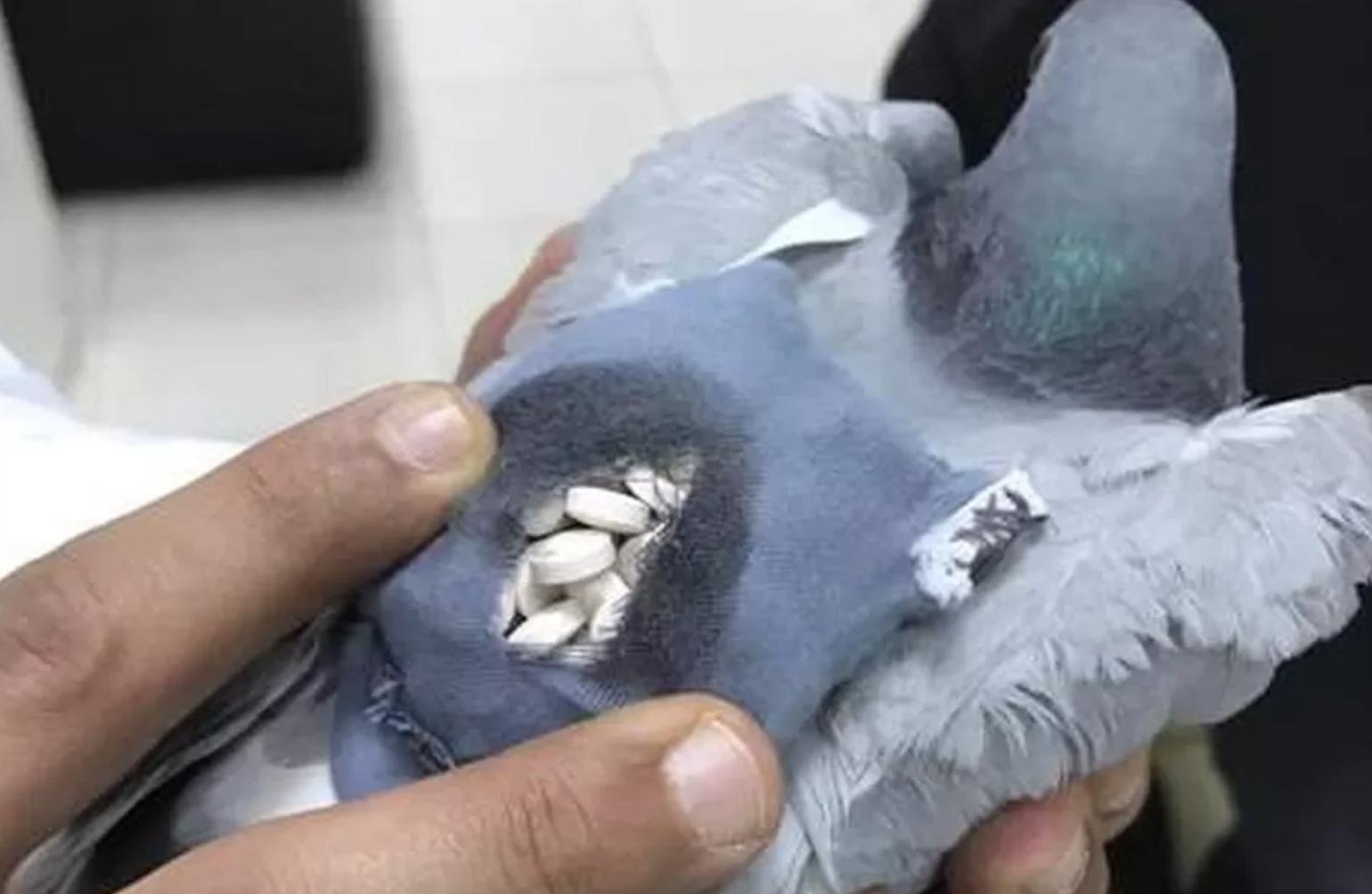 12种奇葩行为,十种奇葩的行为