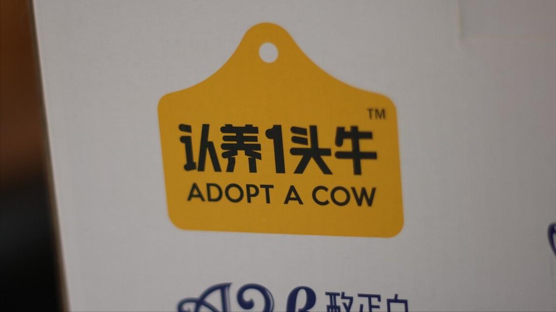 认养一头牛属不属于非法集资 (认养奶牛算是非法集资吗)