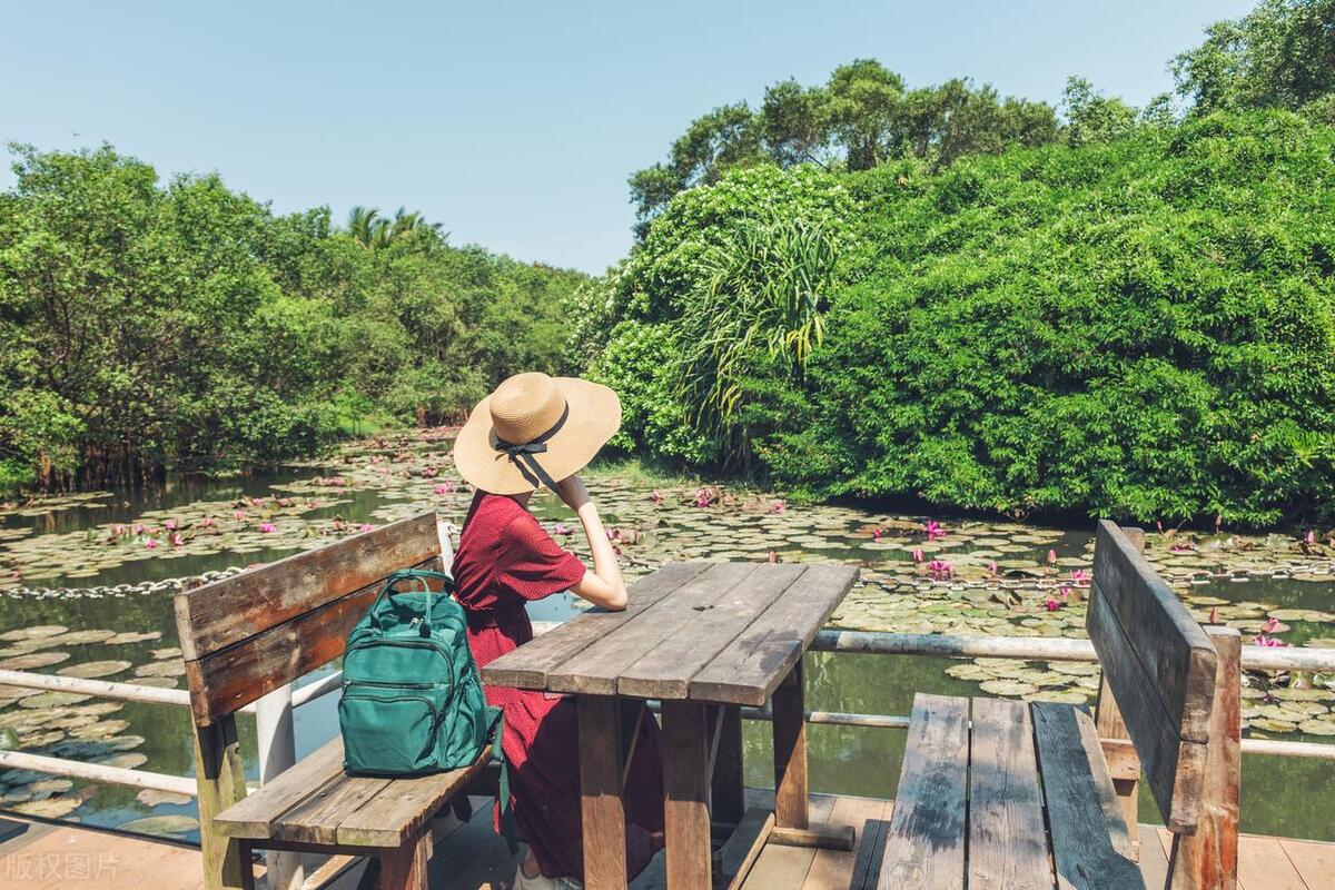 淄博烧烤带动了淄博的各方面发展,为何淄博烧烤能火遍全中国