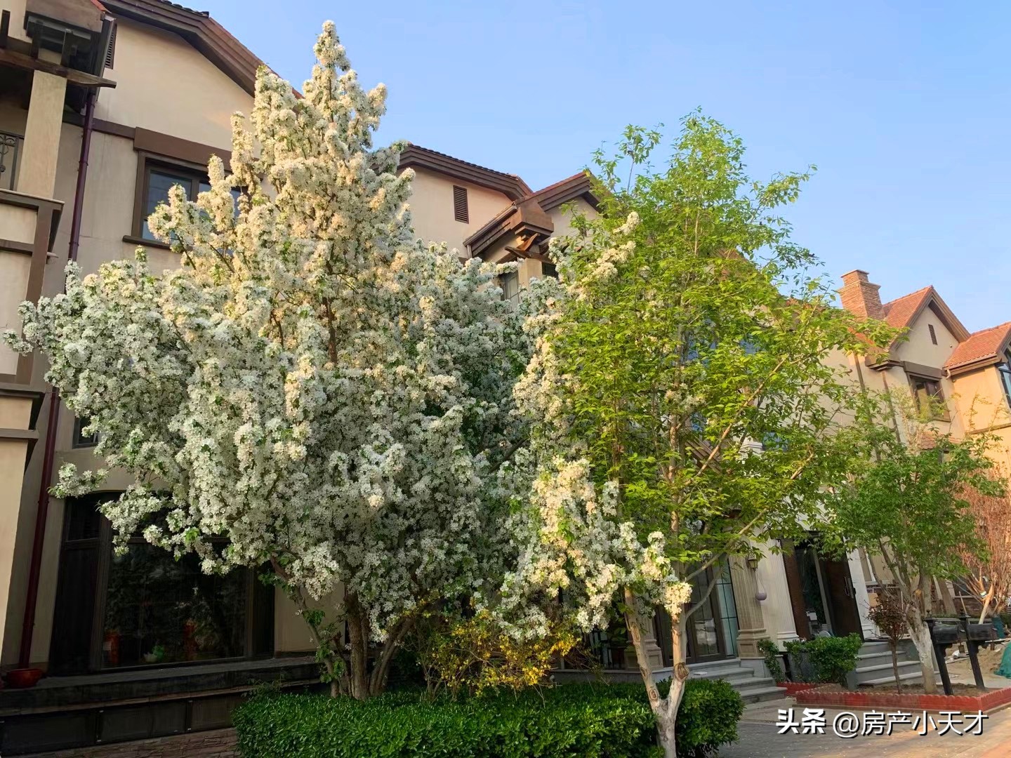 北京北苑地区的别墅,北京十大顶级富人小区