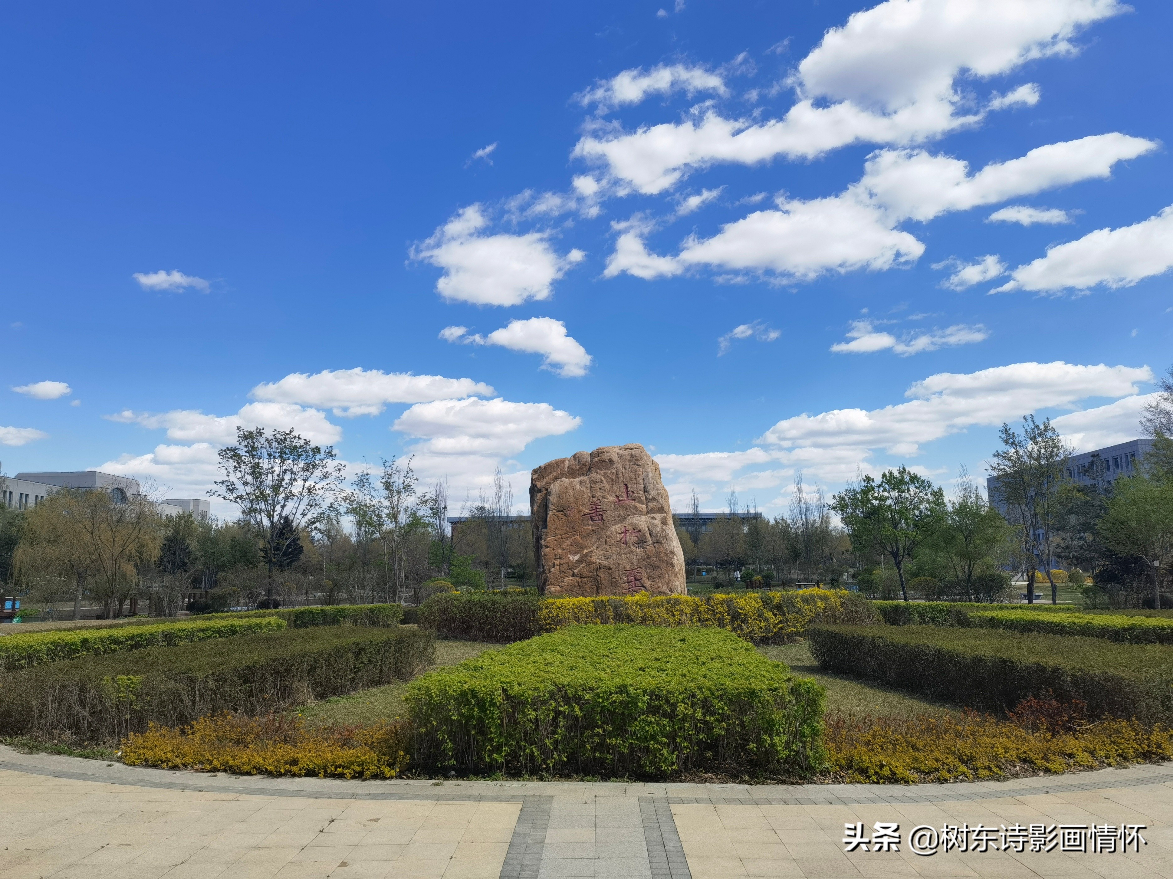 东风诗句飞花令,东风飞花令