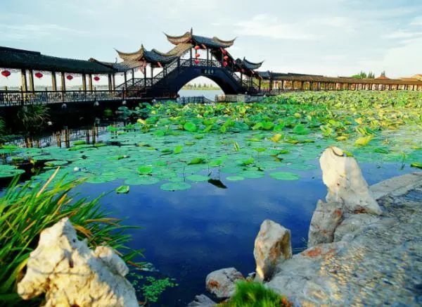 苏州旅游自驾一日游,苏州旅游一日游亲子游