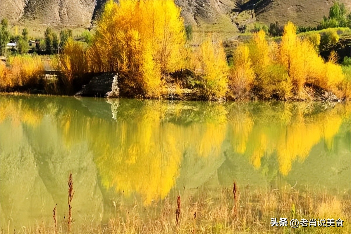 入秋吃些什么有利于身体健康,入秋进补的最佳食物