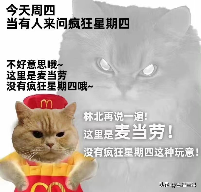 肯德基疯狂星期四为什么那么便宜,肯德基疯狂星期四到底谁更划算