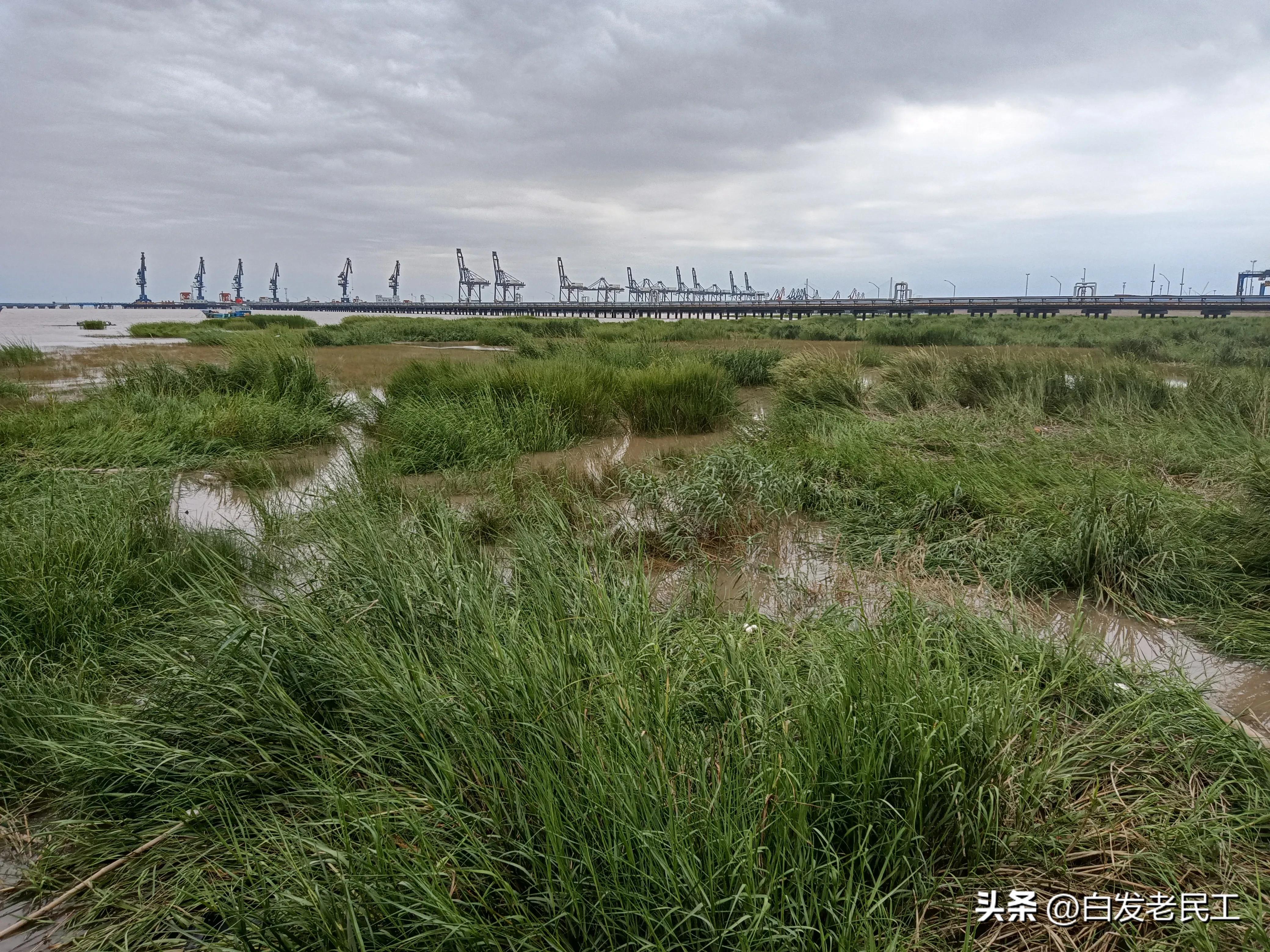 乍浦海边游玩攻略,乍浦镇海边景区