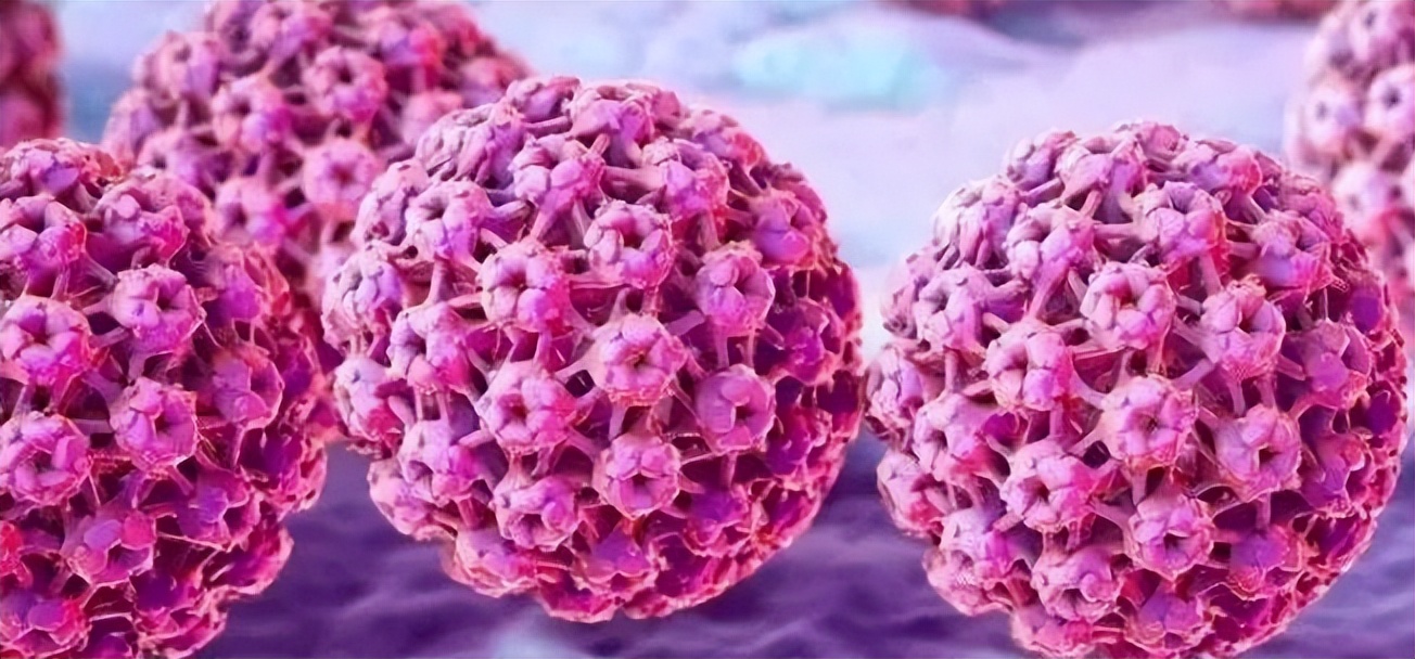 关于hpv疫苗最全的科普,hpv疫苗二价四价和九价价格