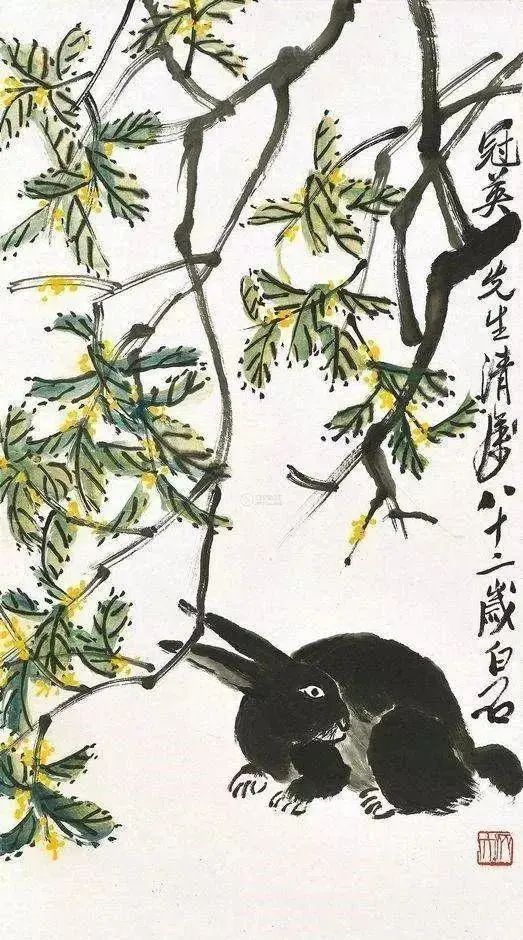 齐白石笔下富贵的牡丹,齐白石写意兔子