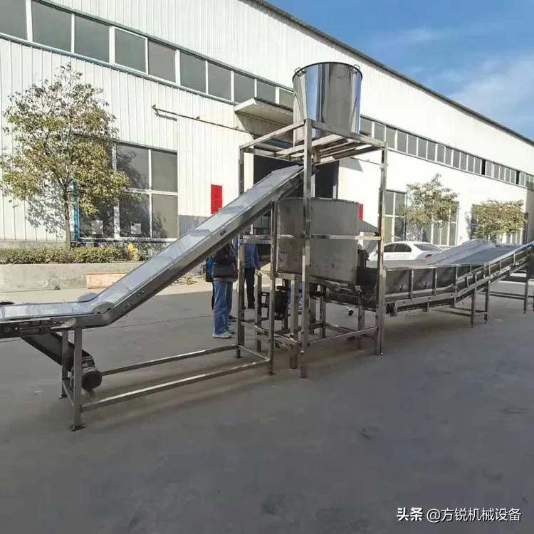 开个面条加工厂,西安鲜面条批发