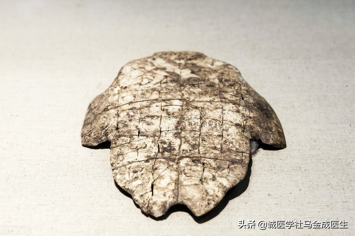 肾虚腰痛小偏方,女性肾虚腰膝酸软吃什么