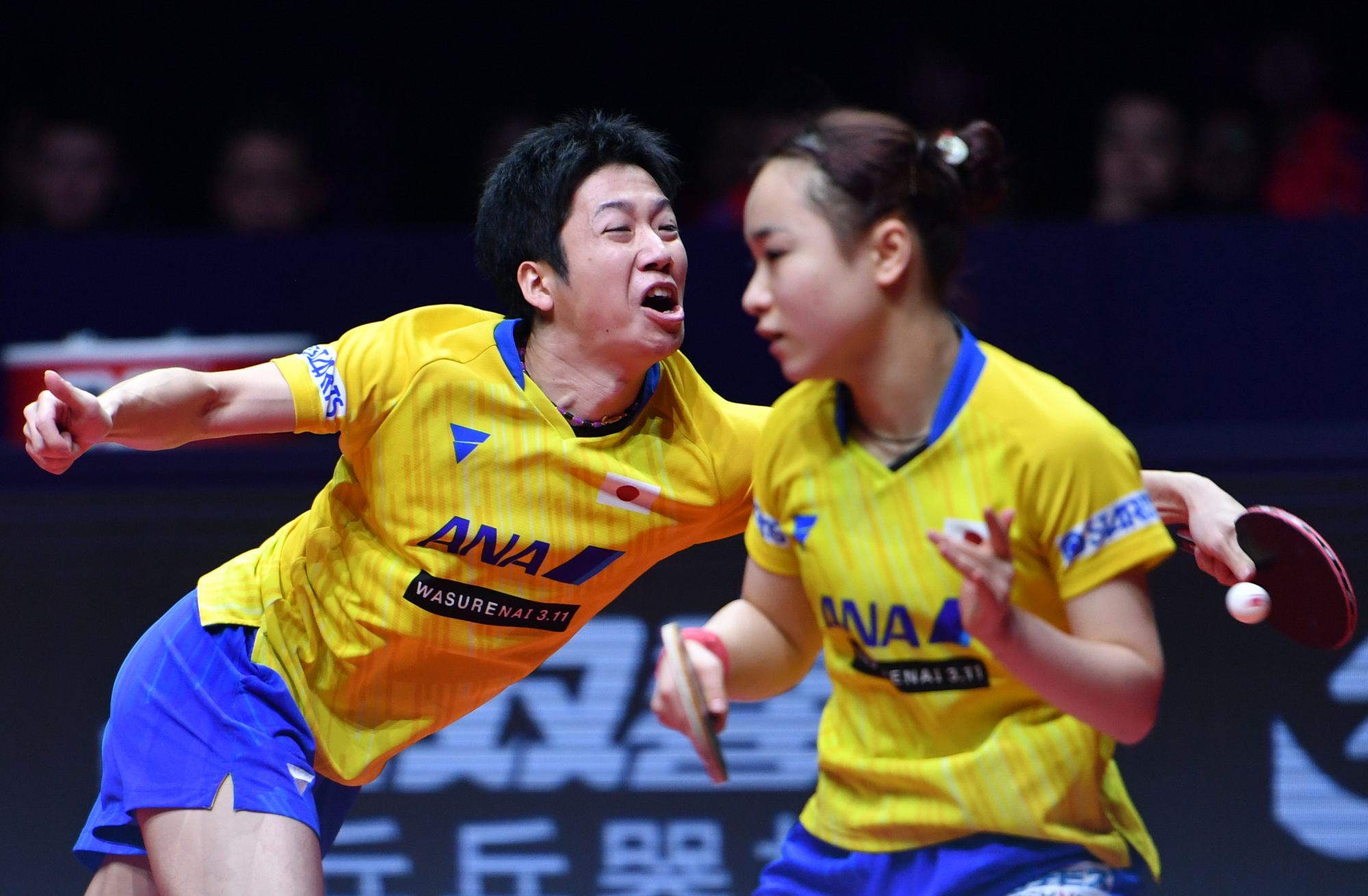 巴黎周期国乒积分樊振东,樊振东巴黎周期胜率