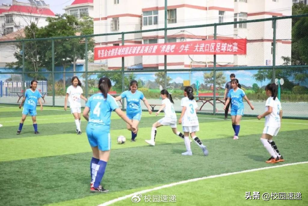 全县青少年校园足球联赛,大武口区校园足球联赛