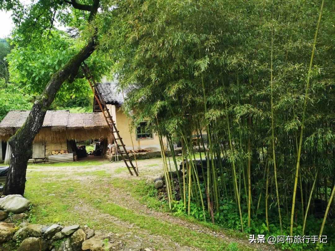 还没来得及去日本，却在秦岭来了趟值回东京票价的旅行