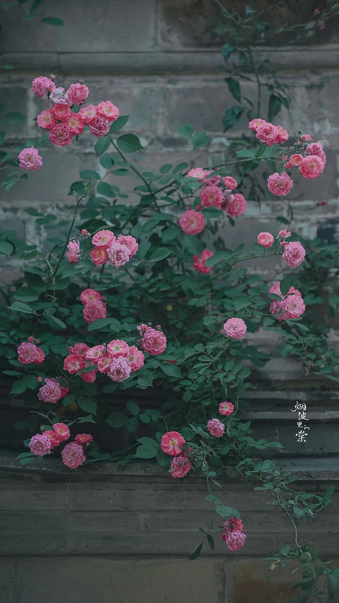 唐诗唯美千古绝句,最美的四季唐诗