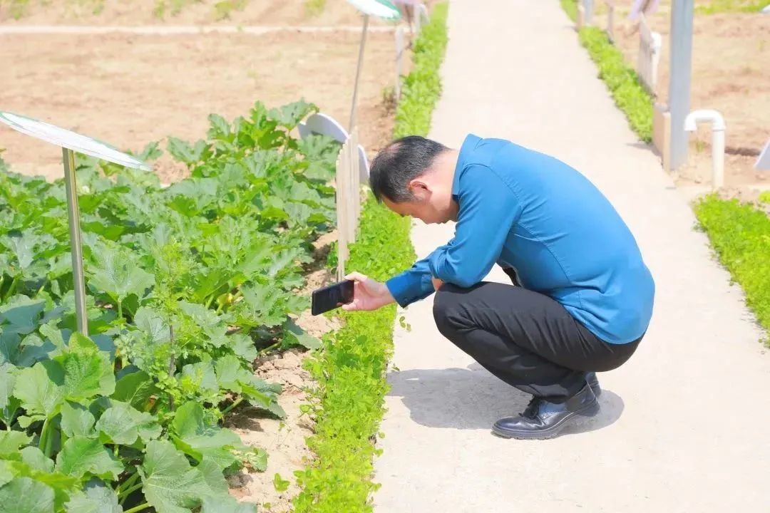 让美好继续让教育更好地发生丨西安高新区第十一小学办学成果展