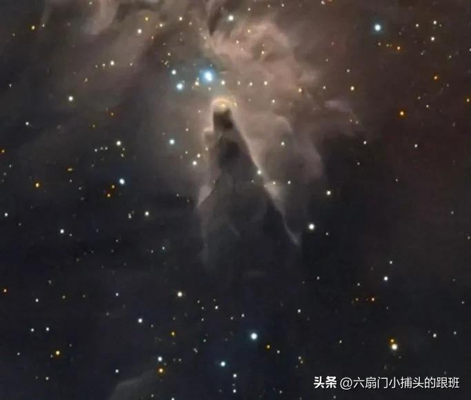 懂懂日记,懂懂日记全集完整版